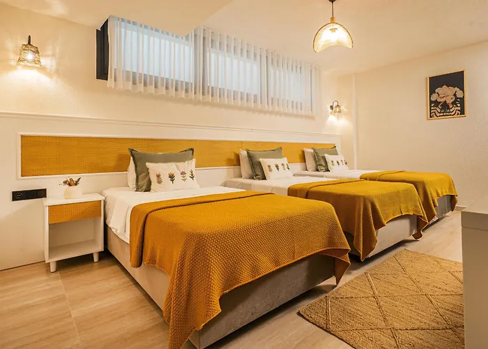 Lyse Juelide Çeşme